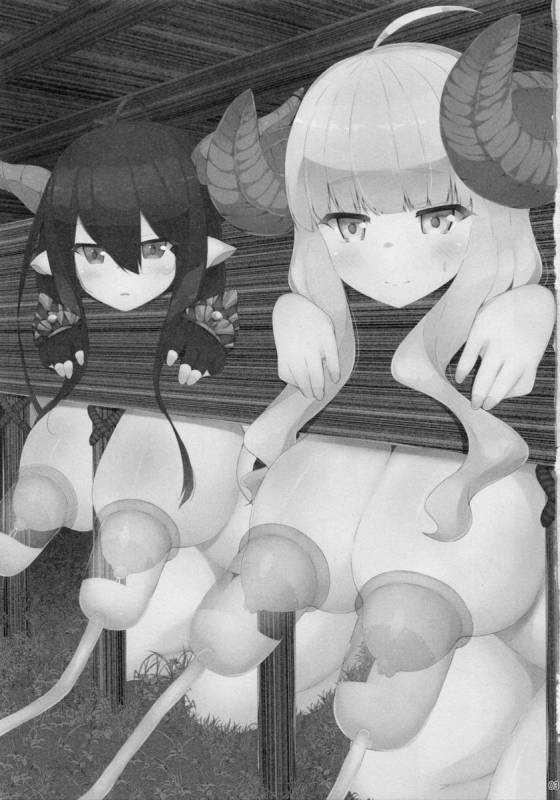 (C88) [Danikuya-san (Shiroie Mika)] Mesudraph no Bokujou (Granblue Fantasy)_01