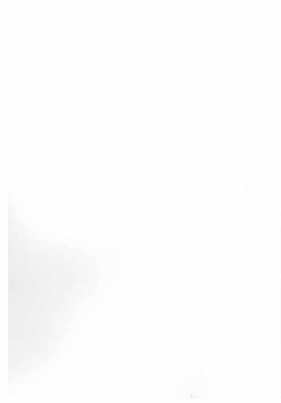 (C89) [YAMADA AIR BASE (Zawa, Mumumu, Yukaran Nosuke)] Oshioki Ranmia (Touhou Project)_39