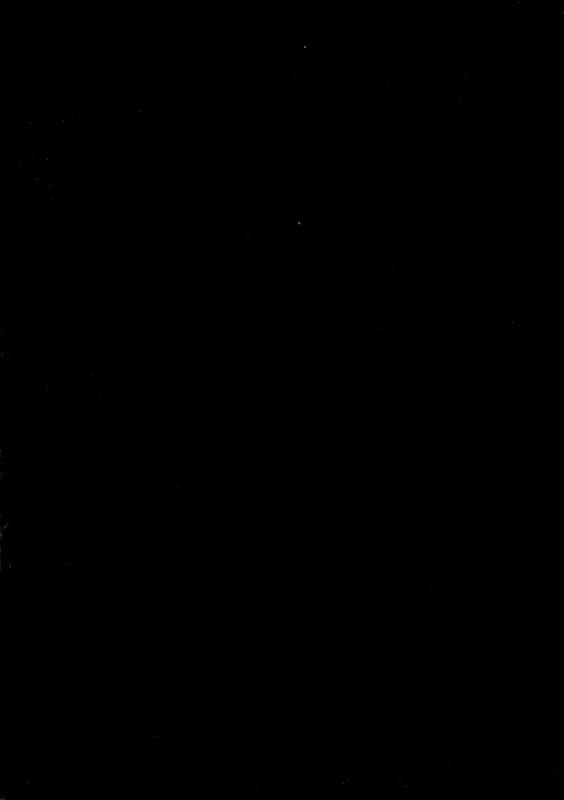 (C91) [Setouchi Pharm (Setouchi)] Onna Yuusha Tai Futanari Lamia_02