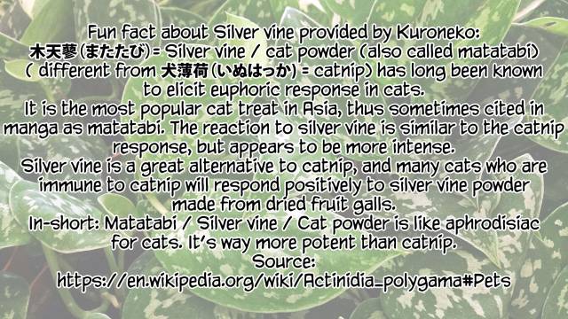 [Suzuhane Suzu] Boy Meets Nyaa God  Boy meets Cat Goddess (COMIC ExE 04) [English] [R_36